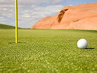 golf ball on green