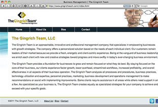 The Gingrich Team website